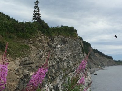 Cliffs in Forillon NP.JPG