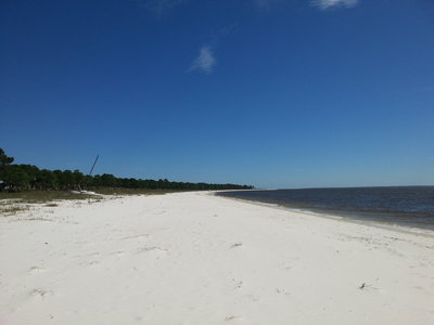 There are empty beaches in Florida after all!
