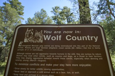 Mexican gray wolf (El Lobo) informational sign