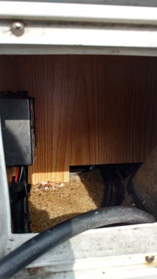 IMG_20160707_165956634.jpg