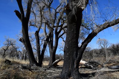 D5C_0017.jpg
