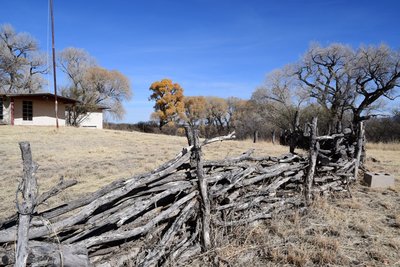 D5C_0012.jpg