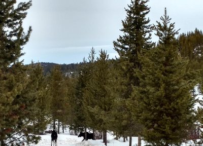 20180125_120548.jpg