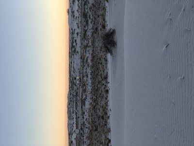 Spotted another Chinook