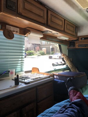 37934F5B-C592-4BD5-B607-30ED88E33B2E.jpeg