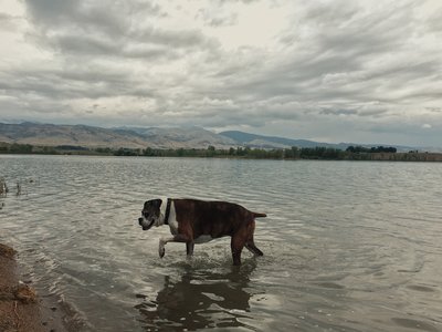8D5D67C2-6FA0-4A22-B253-01577EF450EC.jpeg
