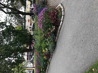 9F652122-FCEF-4ABD-8231-E784E3C636A9.jpeg