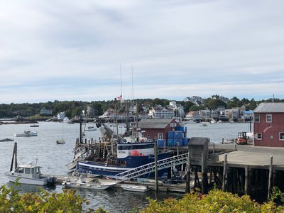 Fresh lobster at the docks