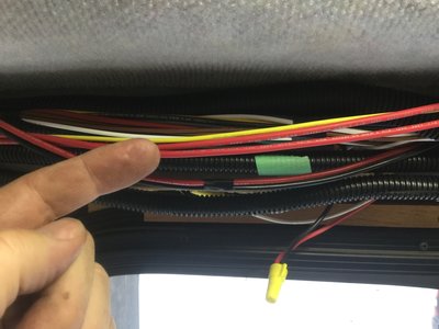 Wiring Door.JPG