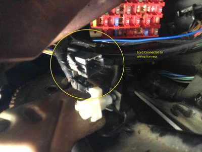 Ford Harness.jpg