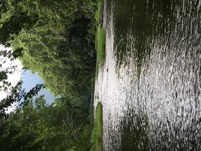IMG_7870.JPG