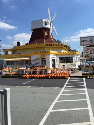 image11.jpeg