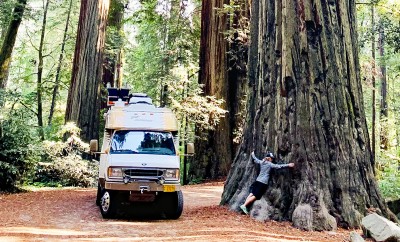 Redwood Hug-3 small.jpg