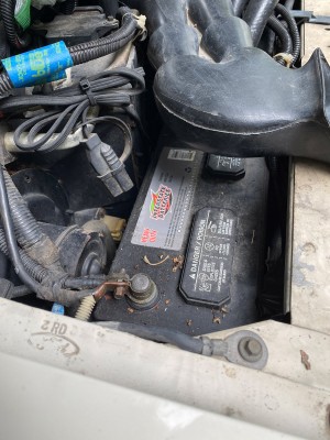 IMG_3353.jpg