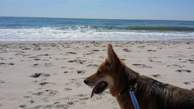 20160329_114929.jpg